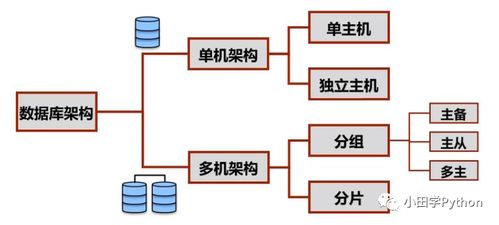 数据库服务 现代信息管理的核心引擎