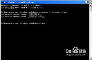 如何启动SQL数据库服务 Windows与Linux系统详细步骤指南