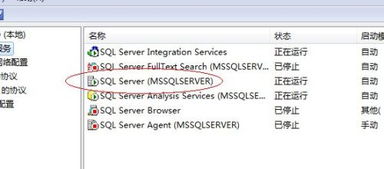 如何全面确认数据库服务器与服务的运行状态